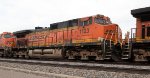 BNSF 1123